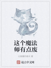 这个魔法师有点废